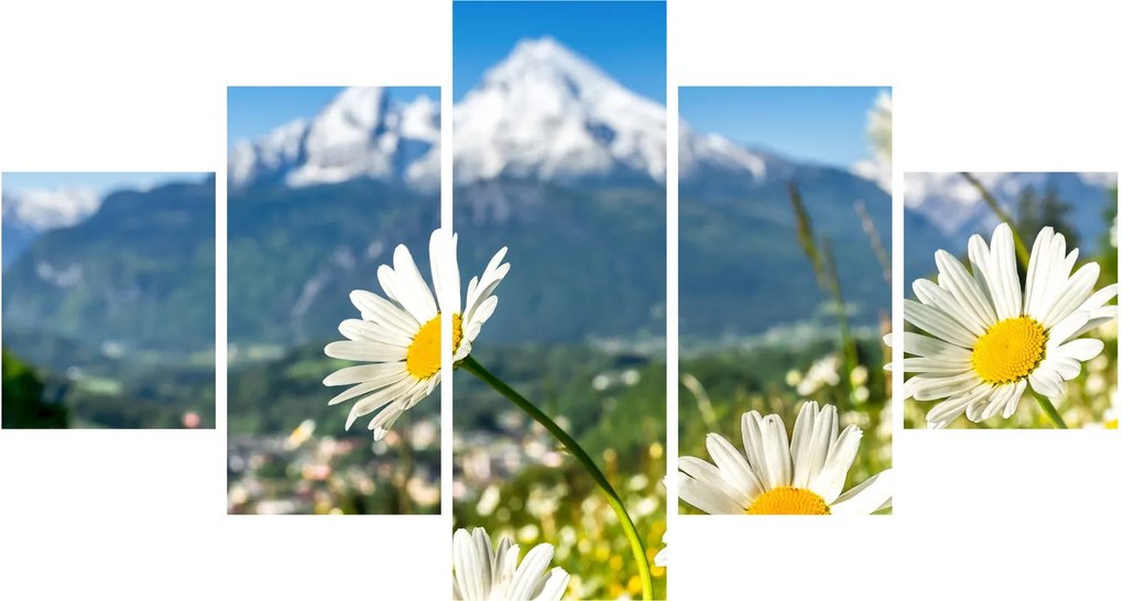 Obraz - Wiosna w Alpach (125x70 cm)