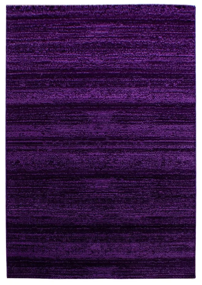 Ciemnofioletowy dywan 80x150 cm Plus – Ayyildiz Carpets