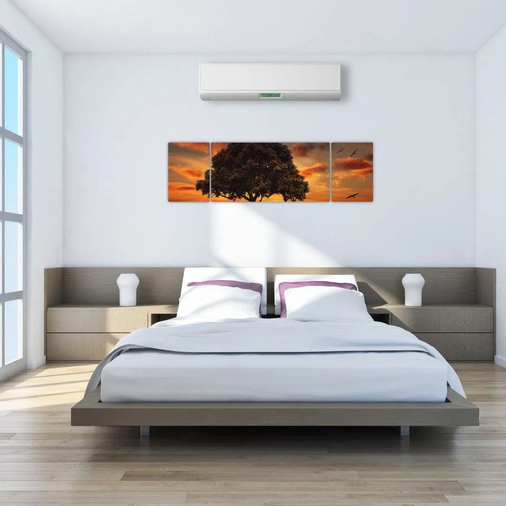Obraz drzewa o zachodzie słońca (170x50 cm)