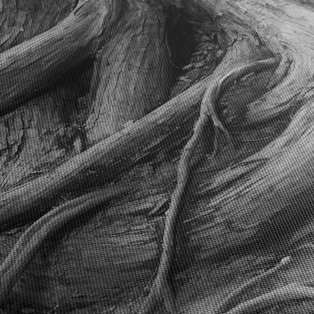Obraz - Korzenie drzewa (170x50 cm)