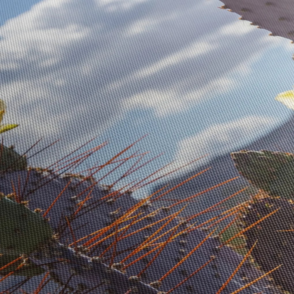 Obraz opuncji (170x50 cm)