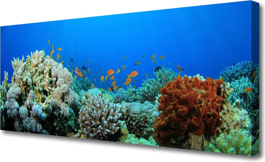 Obraz canvas Kolorowe Życie Oceanu