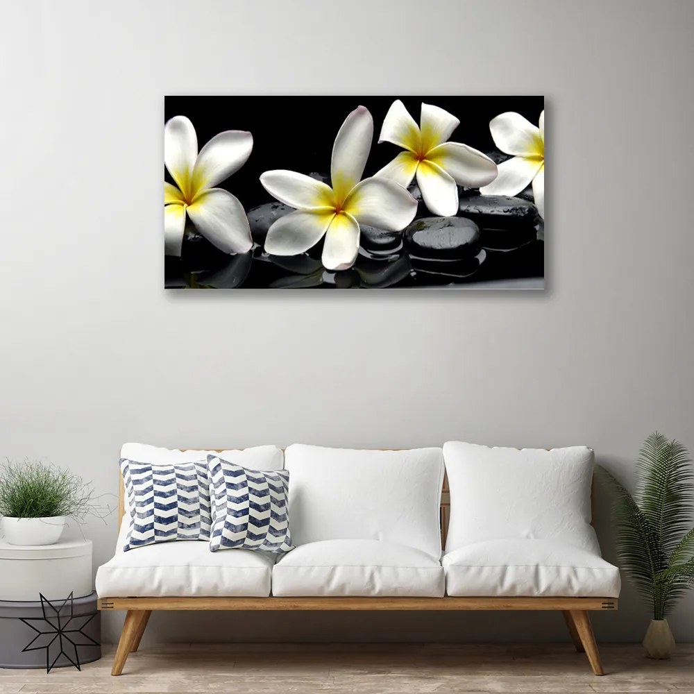 Obraz Canvas Piękny Kwiat Plumeria