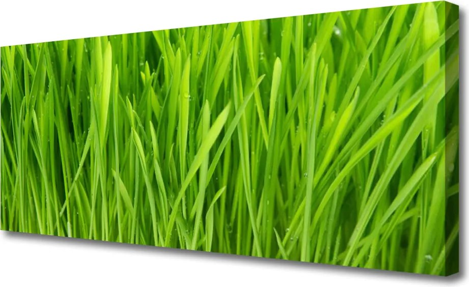 Obraz na płótnie Naturalna Tekstura Zieleni