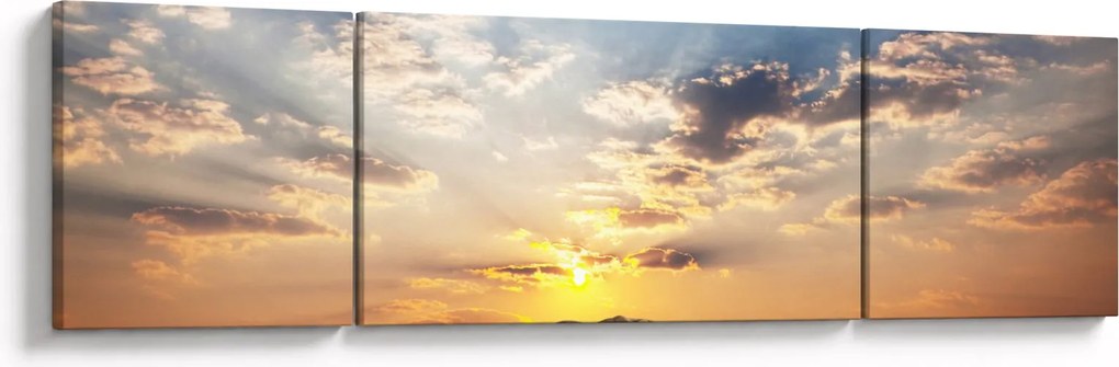 Obraz - Słonie wędrujące po sawannie (170x50 cm)