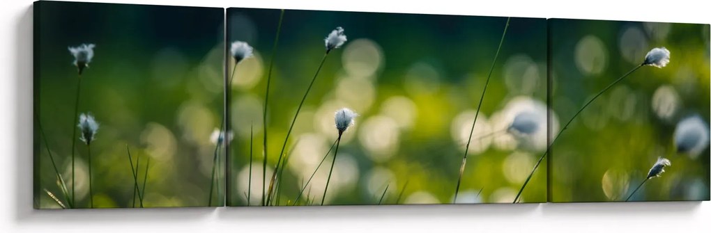 Obraz - Trawa (170x50 cm)