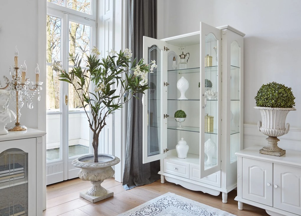 Klasyczna biała witryna Elisabeth z przeszklonymi drzwiami i szklanymi półkami idealnie eksponuje ulubione przedmioty. Stylowe wykończenie, dwie szuflady i solidna konstrukcja. Dostępna w Bemondi - zamów już dziś!