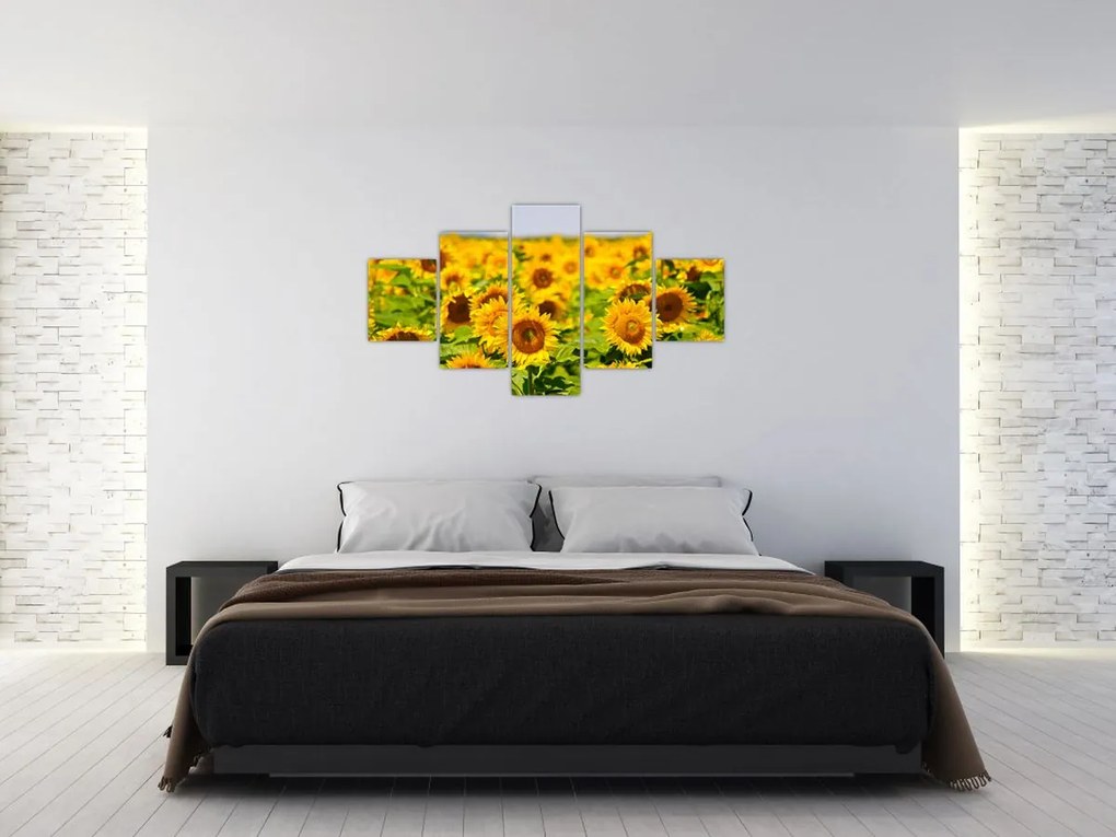 Obraz - Słoneczniki (125x70 cm)