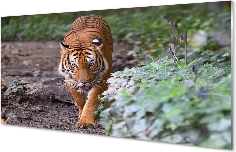 Szkło Ozdobne do Kuchni Tygrys w Cieniu Drzew