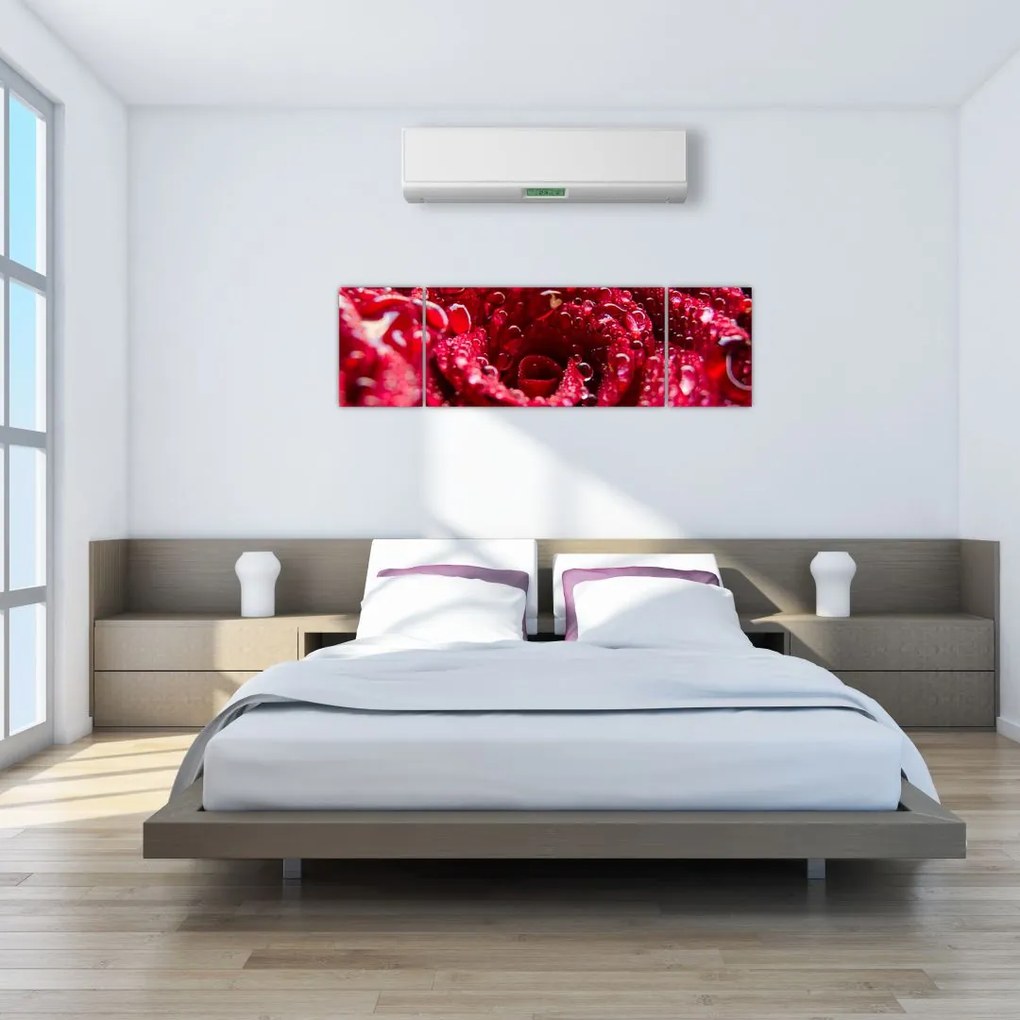 Obraz czerwonego kwiatu róży (170x50 cm)