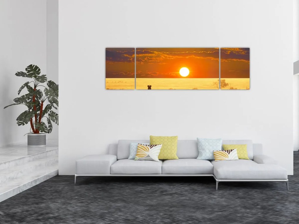Obraz - Zebry z zachodem słońca (170x50 cm)