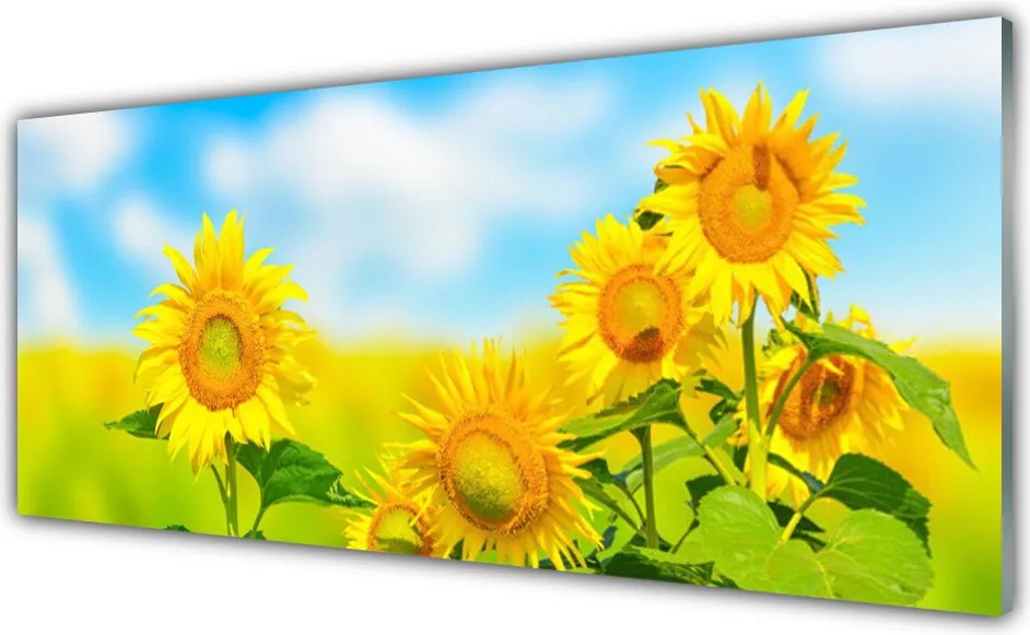 Panel Szklany Złoty Słonecznik w Detalu