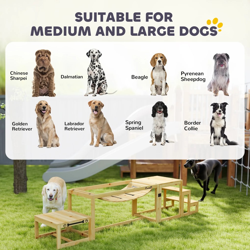 PawHut Zestaw Agility dla Psów, Konstrukcja do Treningu Psów z Mostem, Schodami, Platformą, Drewno Świerkowe, dla Dużych Psów do 40 kg