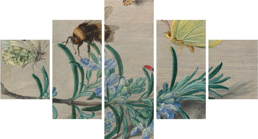 Obraz - Jan van Kessel the Elder, Insects and a Sprig of Rosemary, reprodukcje (125x70 cm)