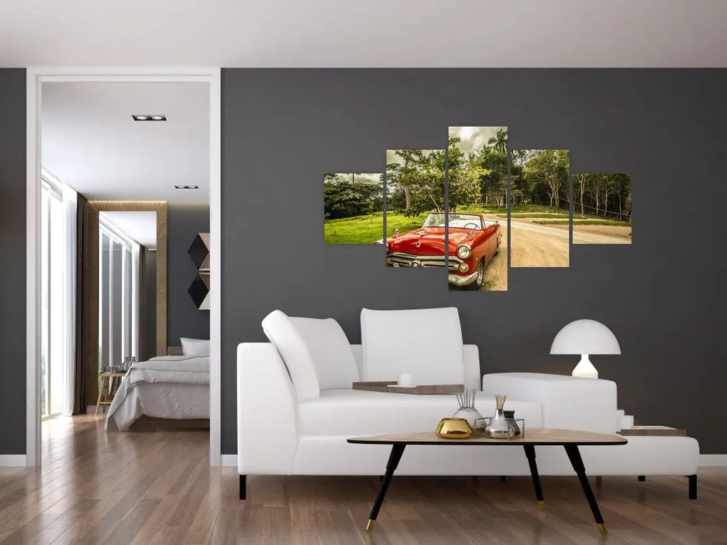 Obraz - zabytkowy samochód w przyrodzie (125x70 cm)