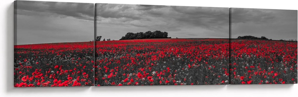 Obraz maków (170x50 cm)
