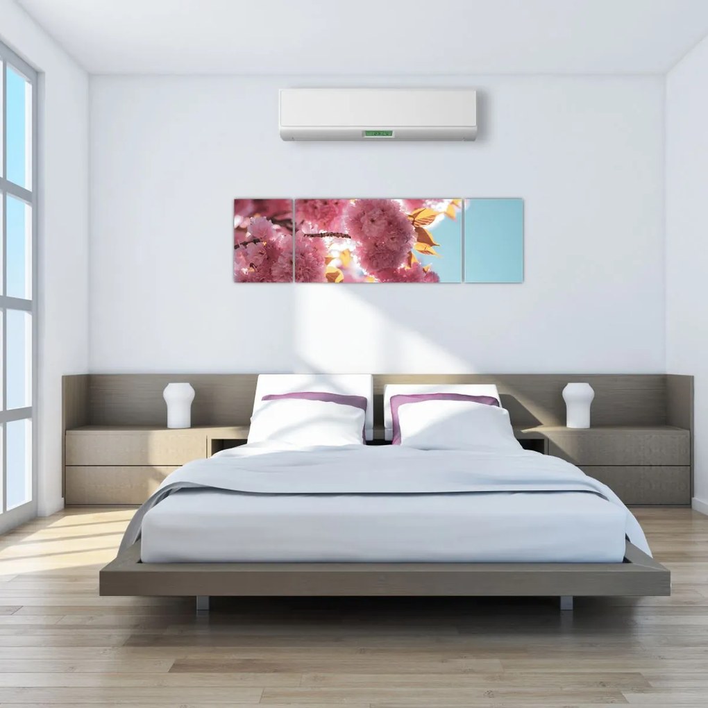 Obraz - Kwiat wiśni (170x50 cm)
