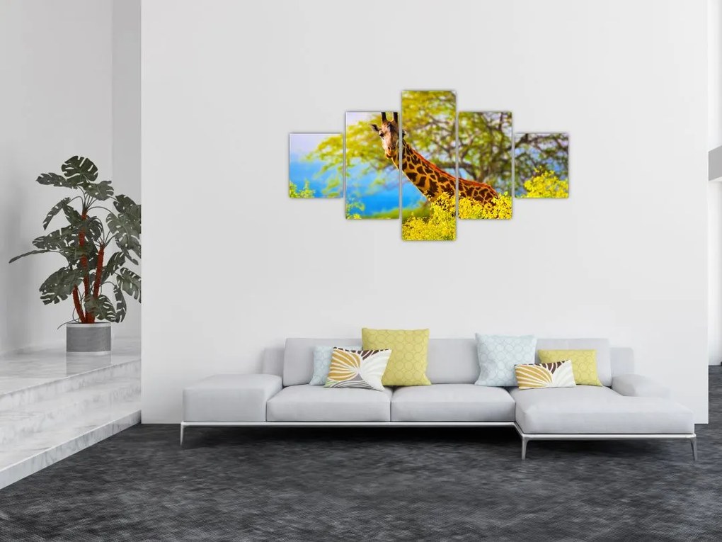Obraz żyrafy w Afryce (125x70 cm)