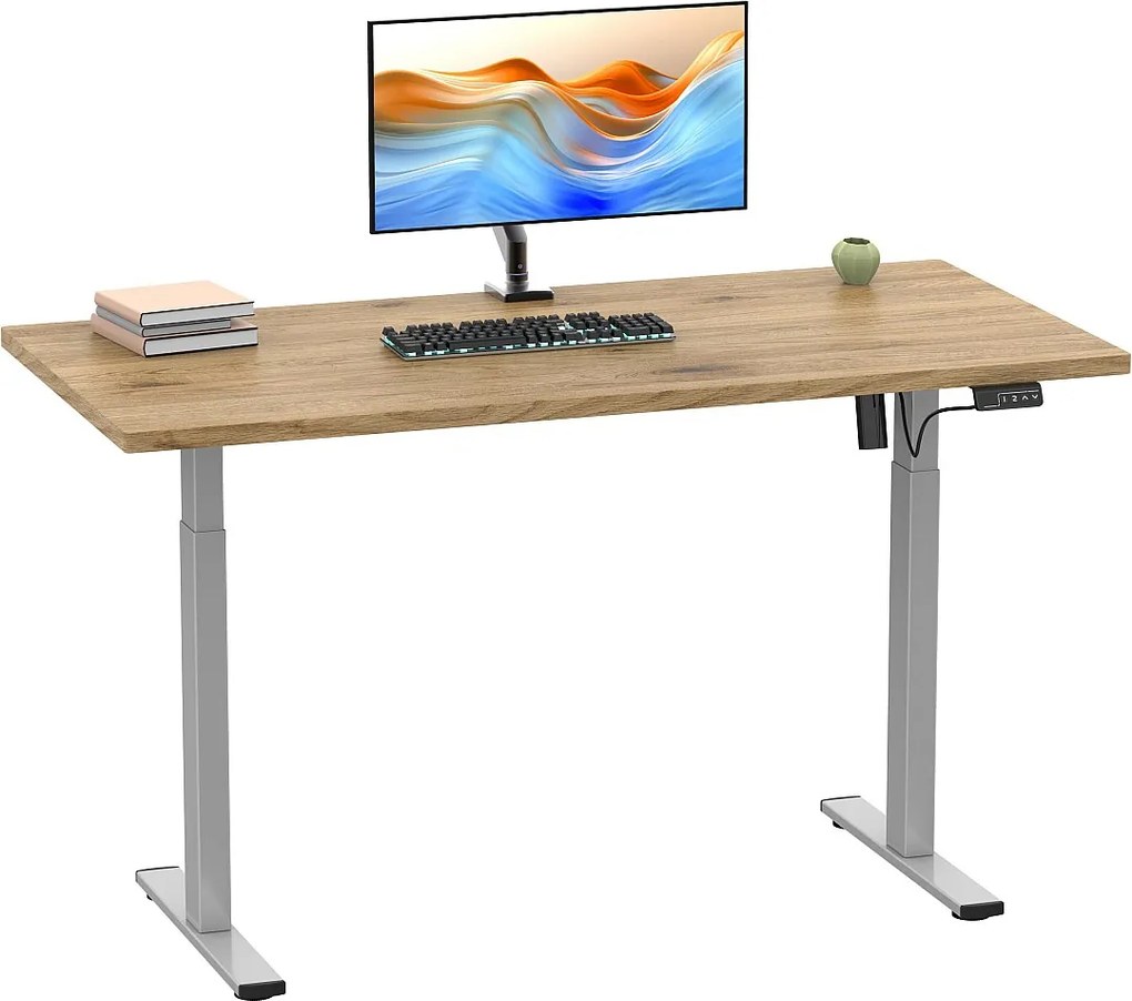 Regulowana wysokość biurka Lona 110x50