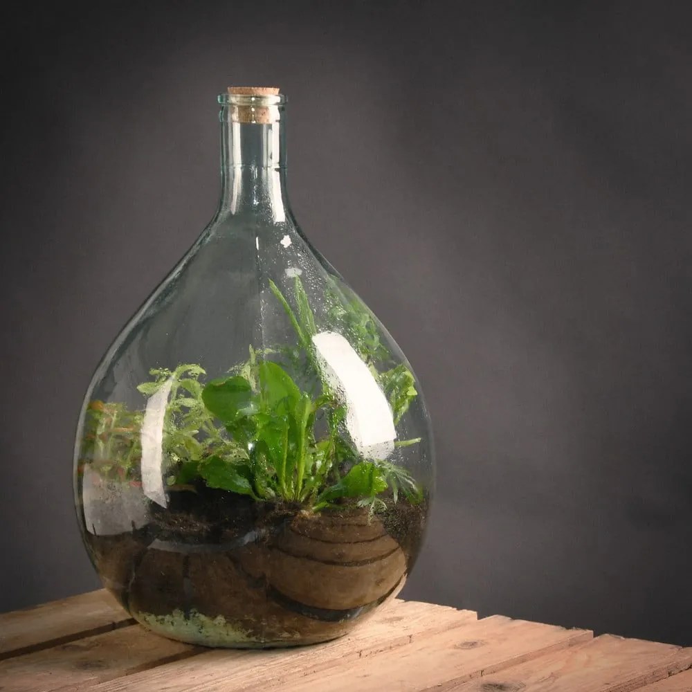 Szklane terrarium z narzędziami do uprawy roślin Esschert Design, 15 l