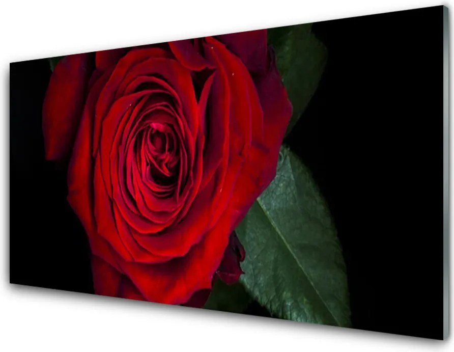 Panel Szklany do Kuchni Elegancka Róża W Zbliżeniu