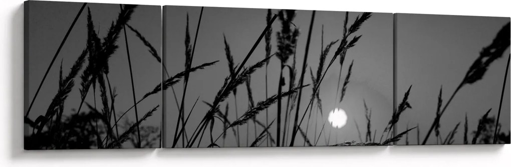 Obraz - Łąka z zachodem słońca (170x50 cm)