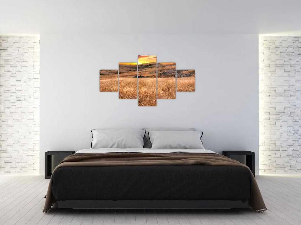 Obraz pola (125x70 cm)