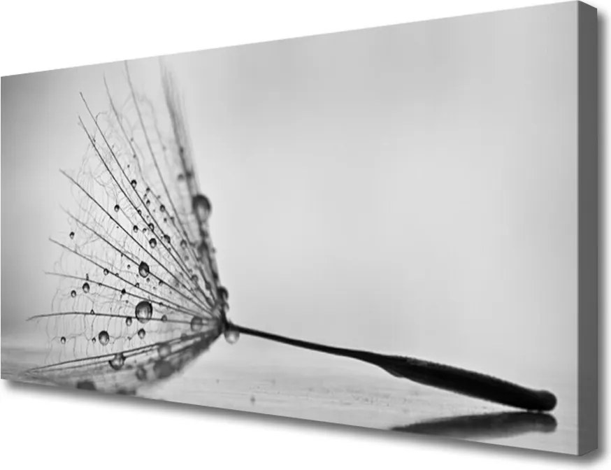 Duży obraz na płótnie Dywan Czerwonych Maków na Łące