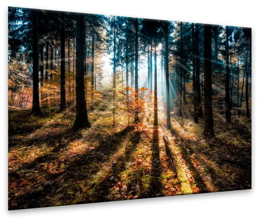 Obraz Styler Glasspik Autumn Sunset, 70x100 cm