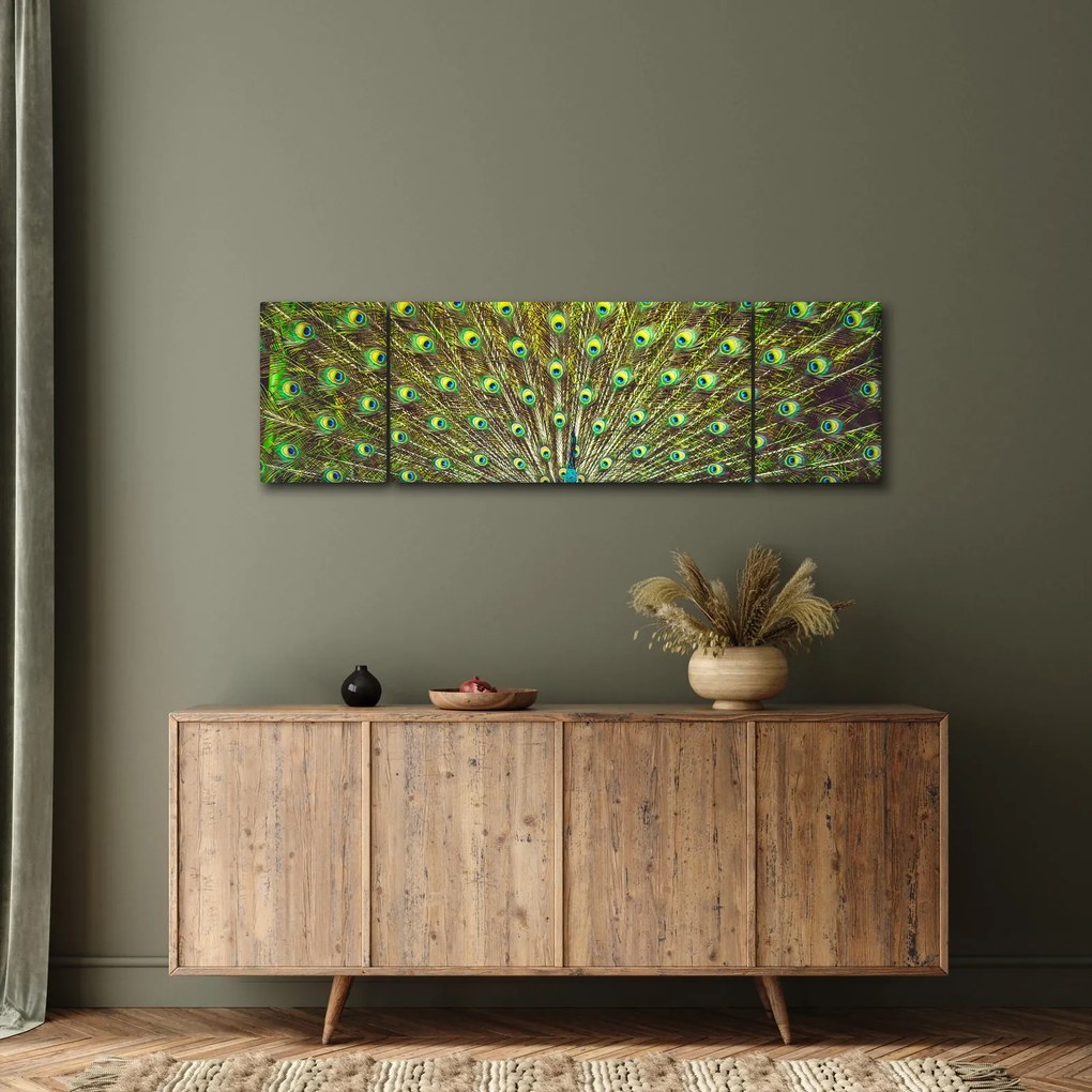 Obraz - Paw (170x50 cm)