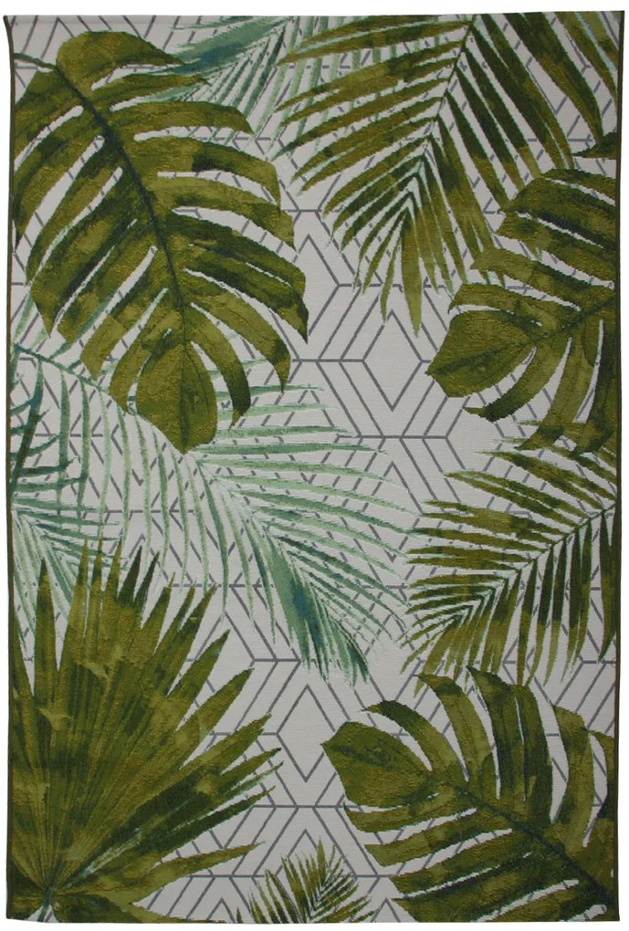 Dywan Capri Tropikalny 160x235 Prostokąt