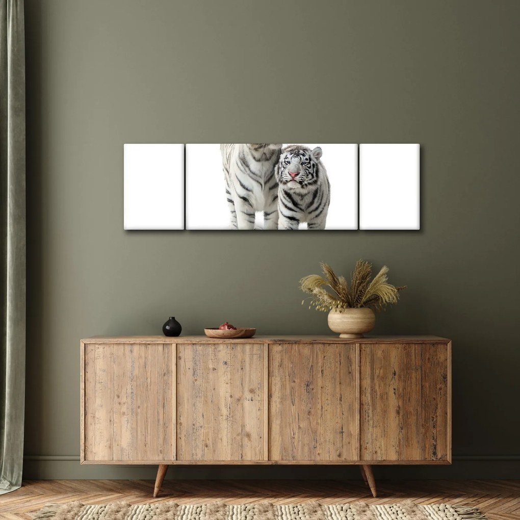 Obraz - Biały Tygrys (170x50 cm)