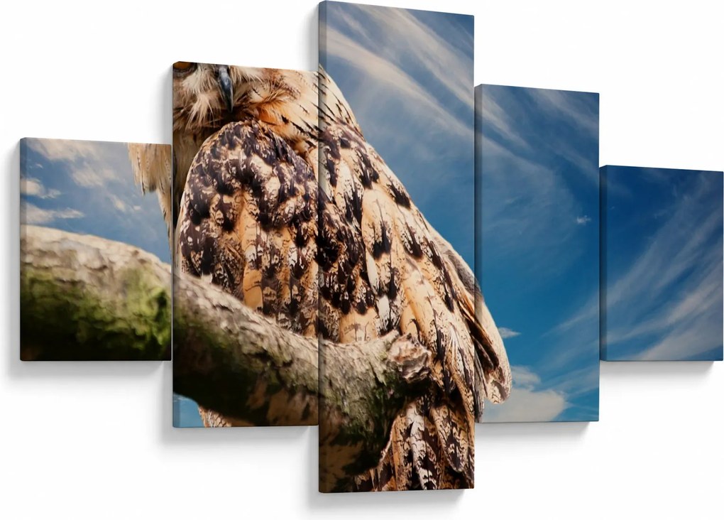 Obraz sowy (125x70 cm)