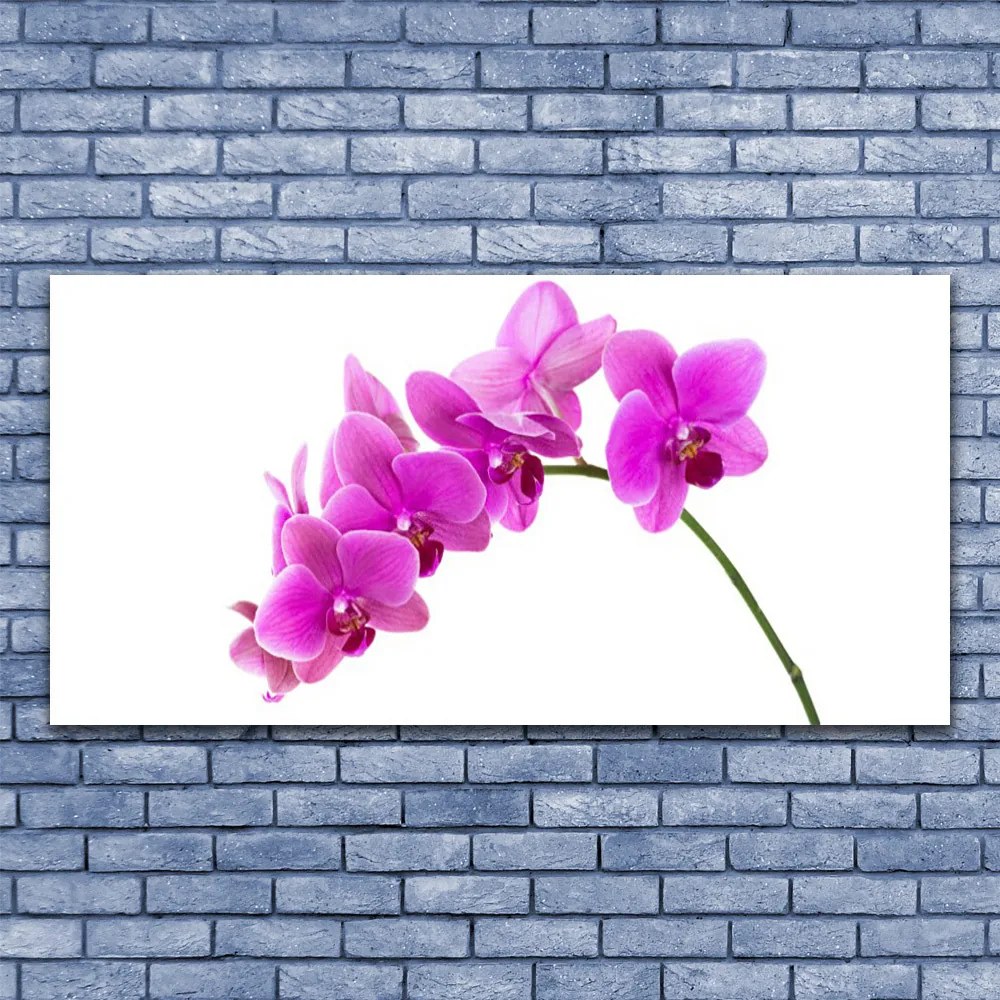 Obraz Canvas Storczyk Kwiat Orchidea