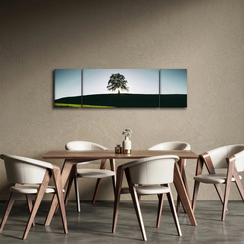 Obraz natury - drzewo (170x50 cm)