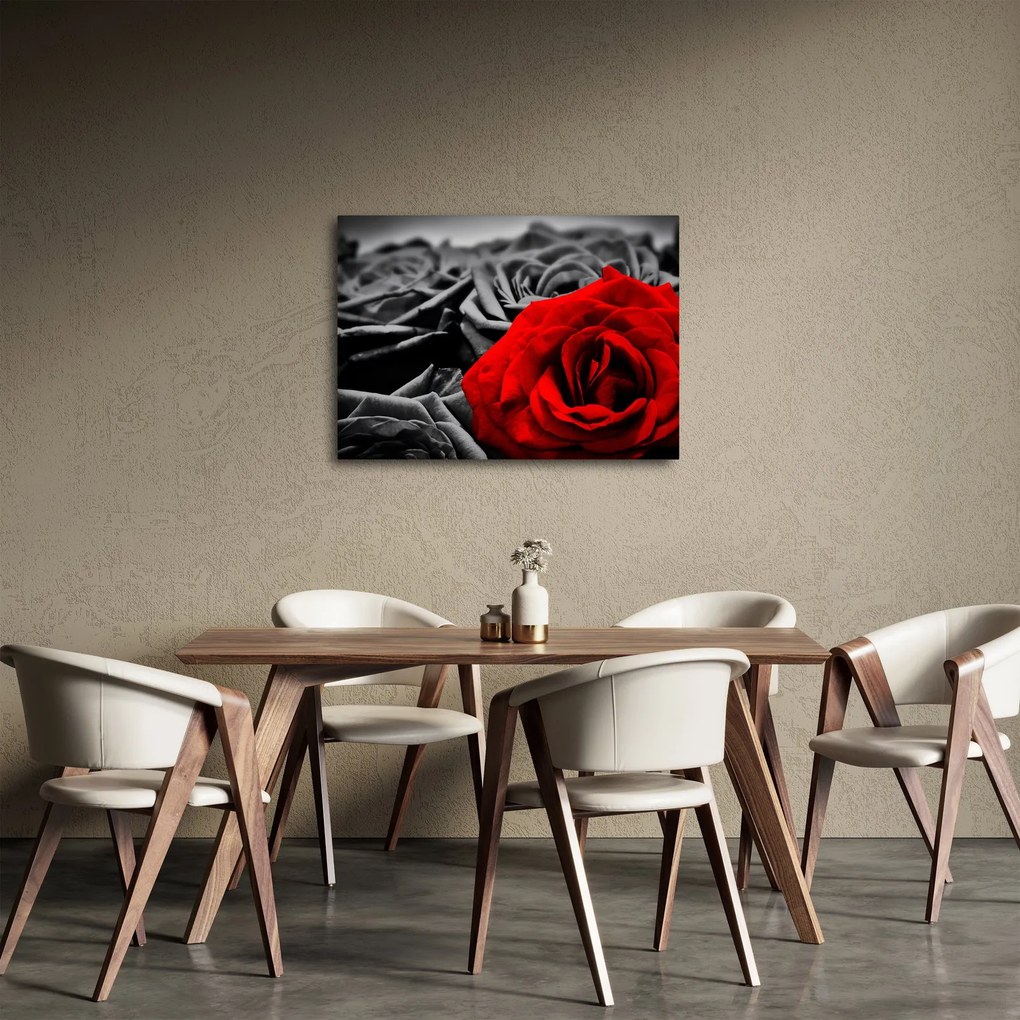 Obraz - Kwiaty róży (70x50 cm)