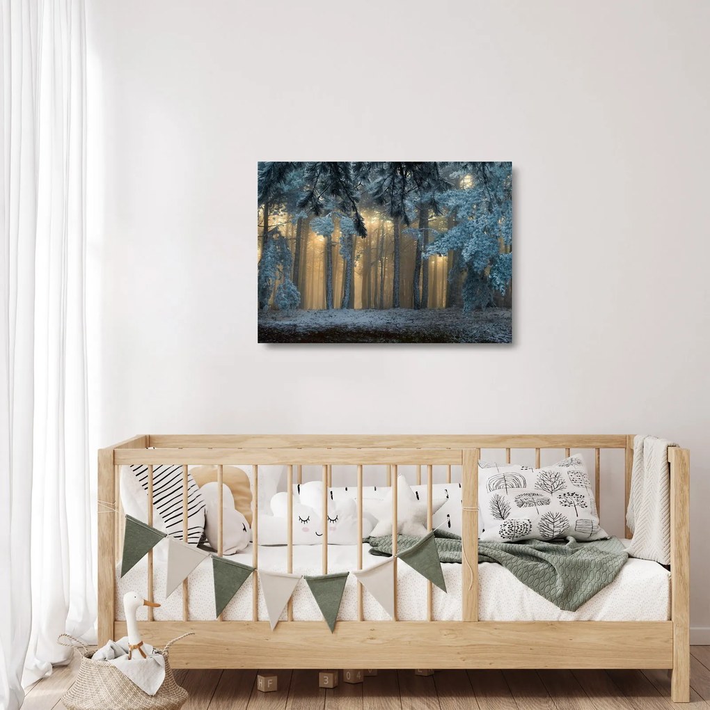Obraz na szkle zaśnieżonego lasu (70x50 cm)