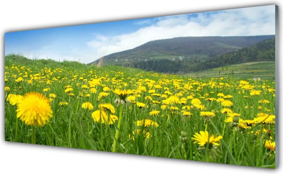 Szkło do Kuchni na Ścianę Polny Urok Mniszka