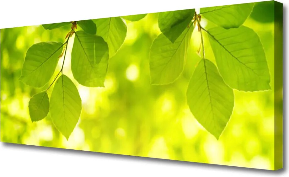 Obraz na płótnie Zielone Liście w Stylu Modern