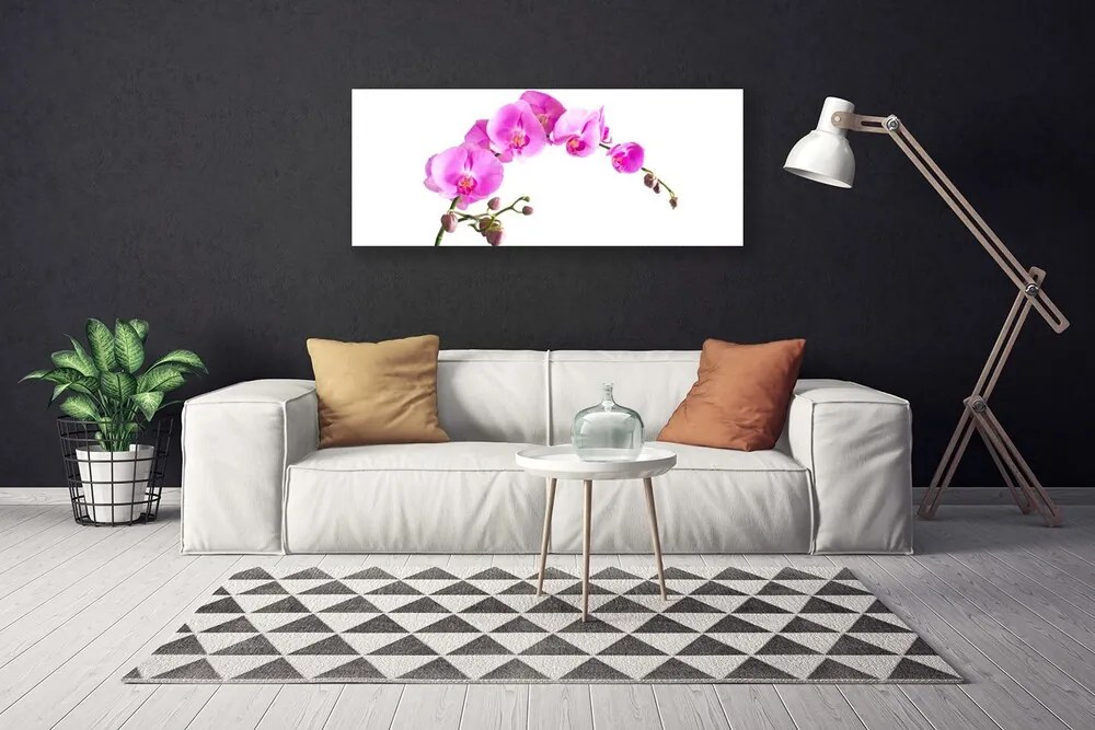 Obraz canvas Wyrafinowany Ogród Botaniczny