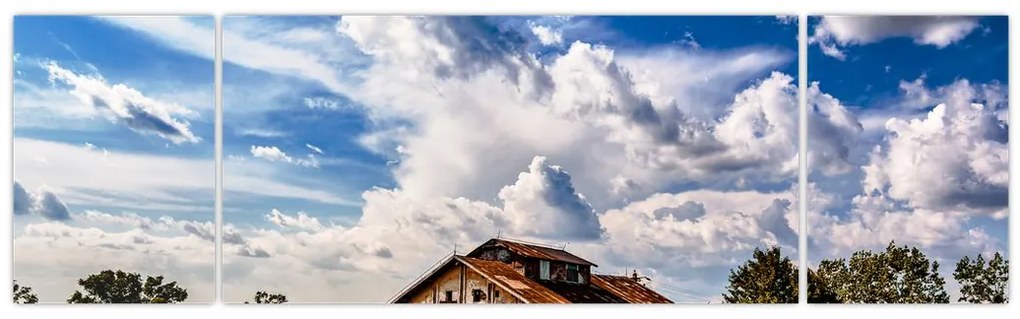 Obraz pola słoneczników (170x50 cm)