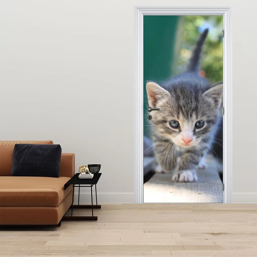 Fototapeta na drzwi - Kotek (95x205cm)