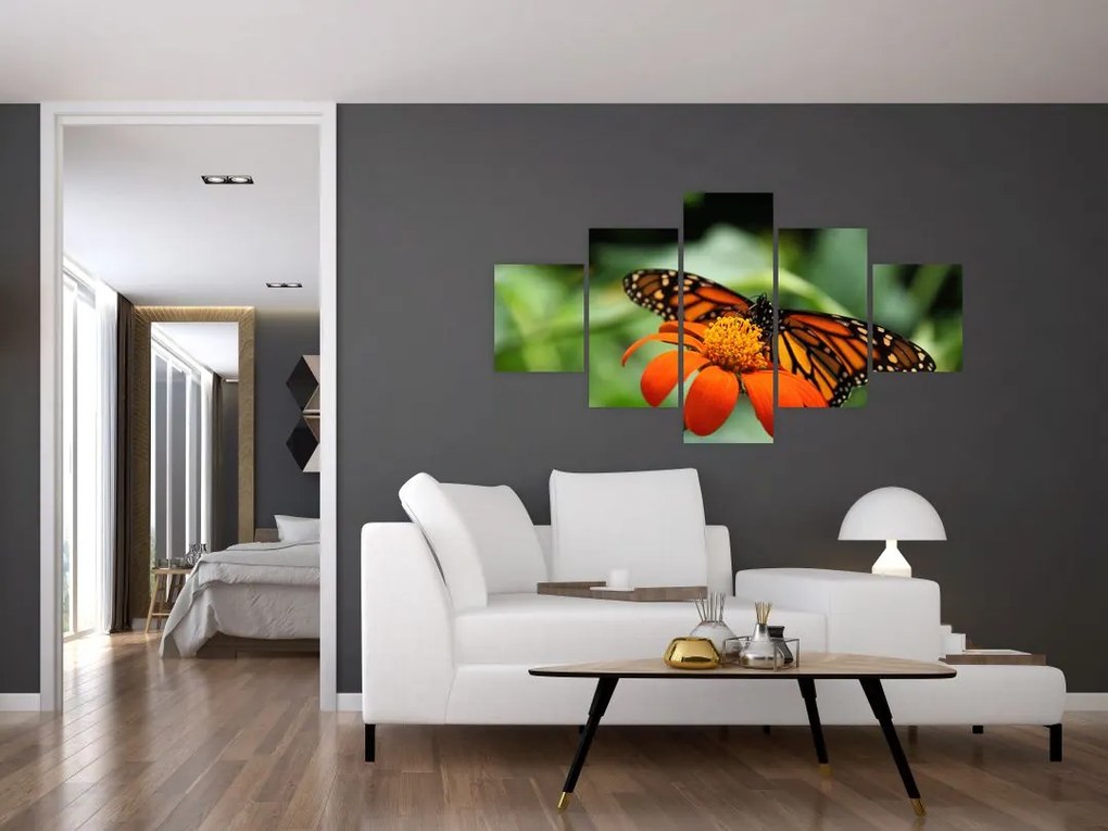 Obraz motyla na kwiatku (125x70 cm)