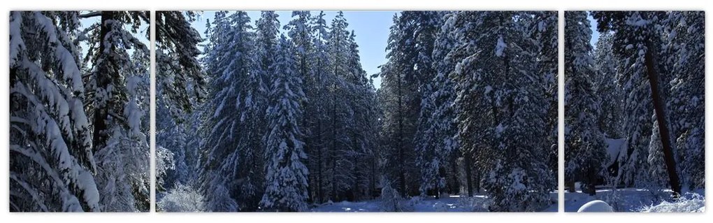 Obraz śnieżnego lasu (170x50 cm)