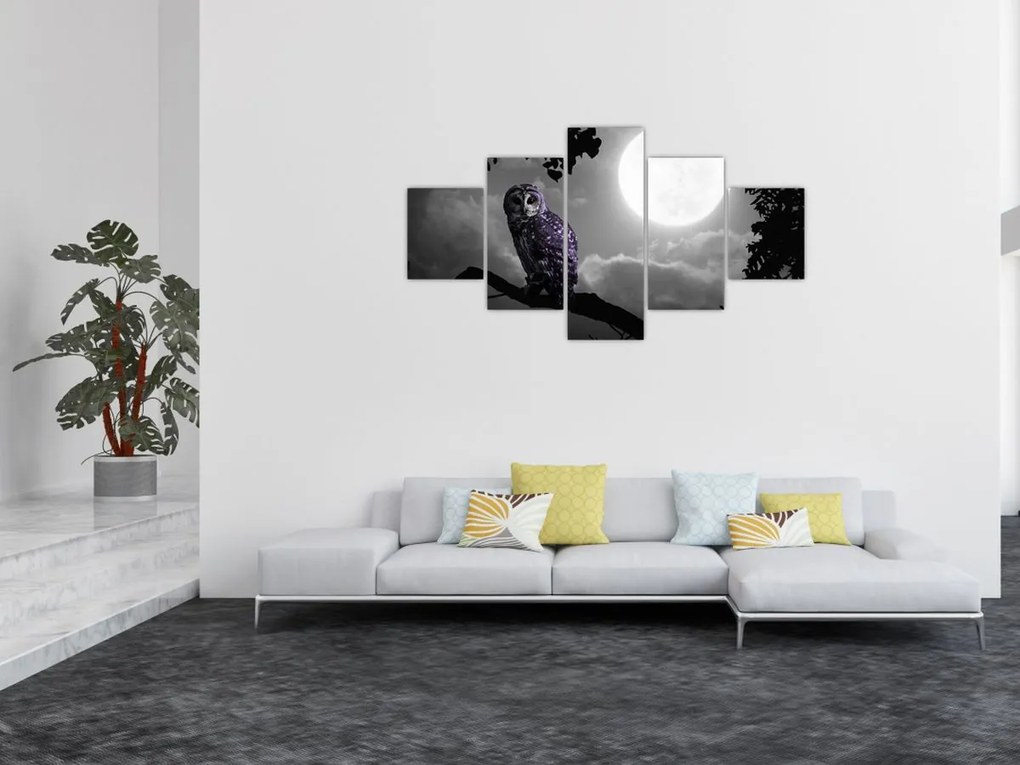 Obraz - Nocna sowa, fioletowa sowa (125x70 cm)
