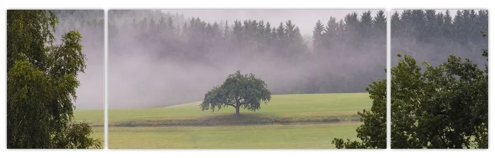 Obraz łąki z drzewem (170x50 cm)