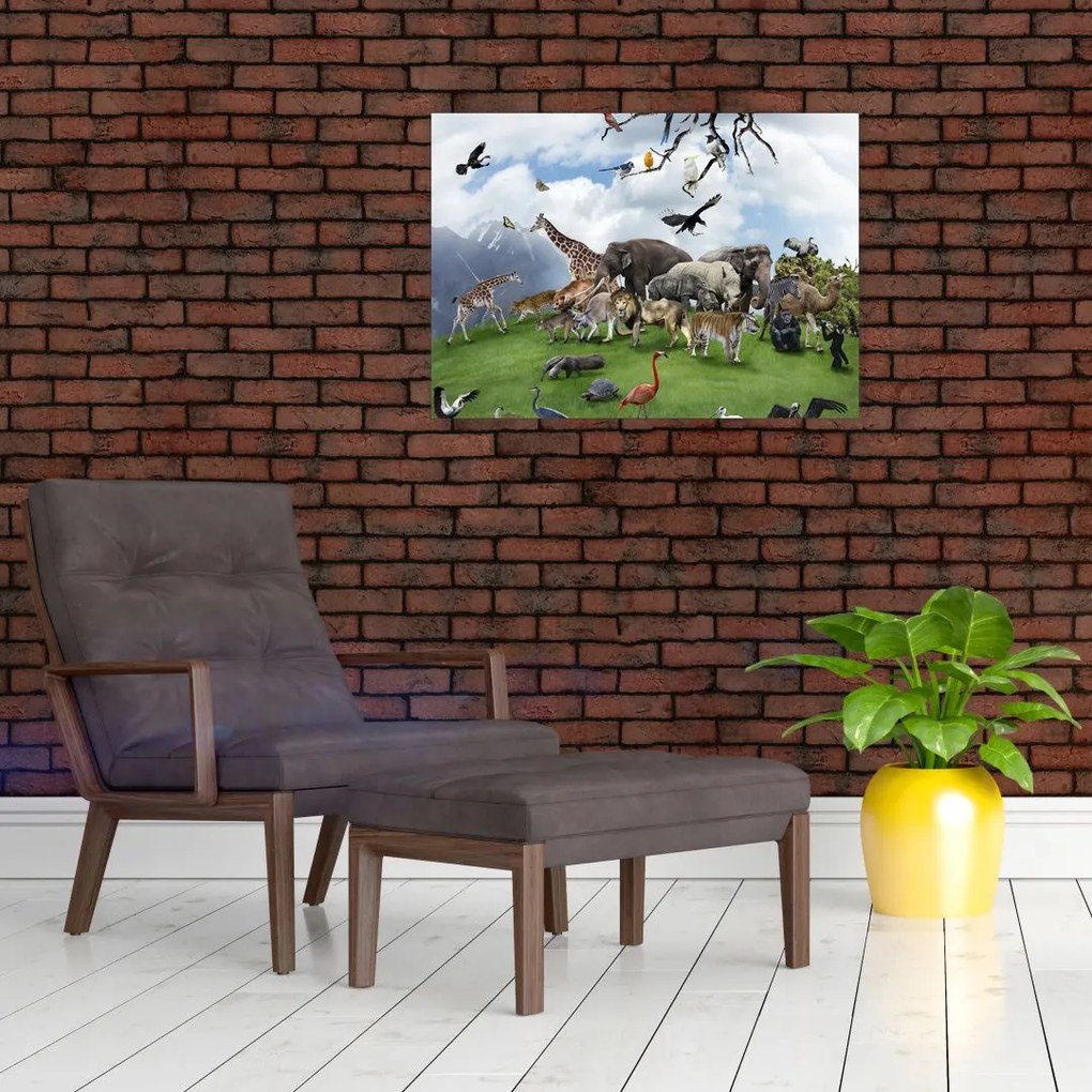 Obraz - Zwierzątka na wyspie (70x50 cm)