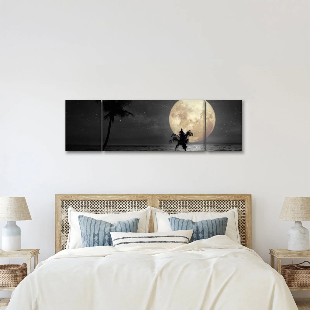 Obraz - Plaża pod pełnią księżyca w odcieniach szarości (170x50 cm)