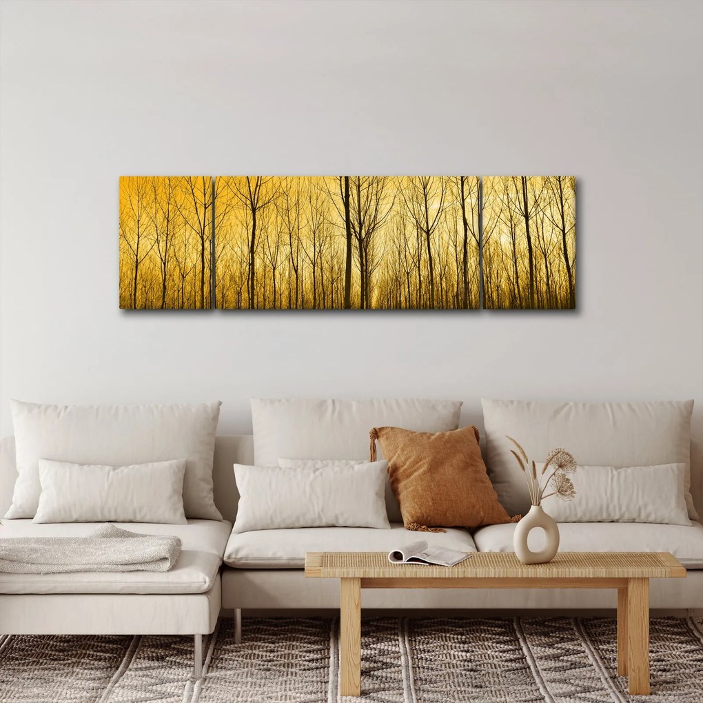 Obraz lasu o zachodzie słońca (170x50 cm)