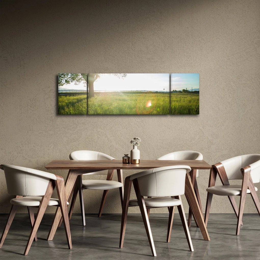 Obraz letniej łąki (170x50 cm)